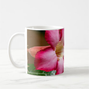 Pink Adenium Obesum flower a.k.a. Desert Rose Coffee Mug