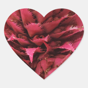Pink Aechmea Flower Heart Sticker