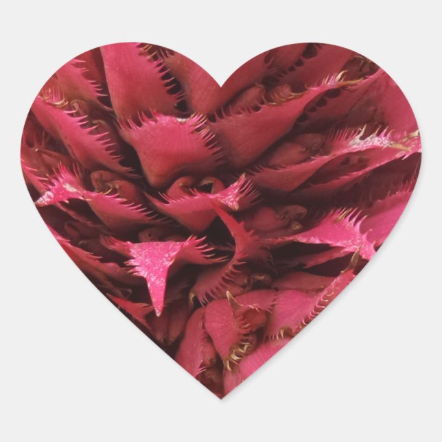 Pink Aechmea Flower Heart Sticker (Front)