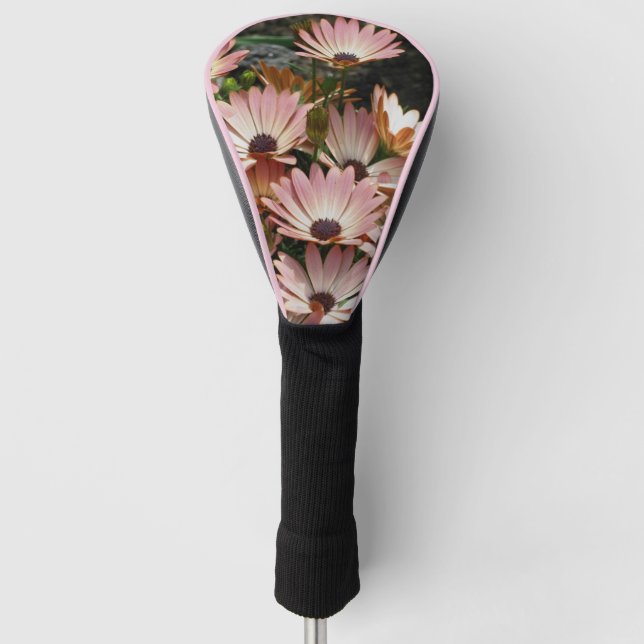 Pink African Daisy Flowers Golf Head Cover (Front)
