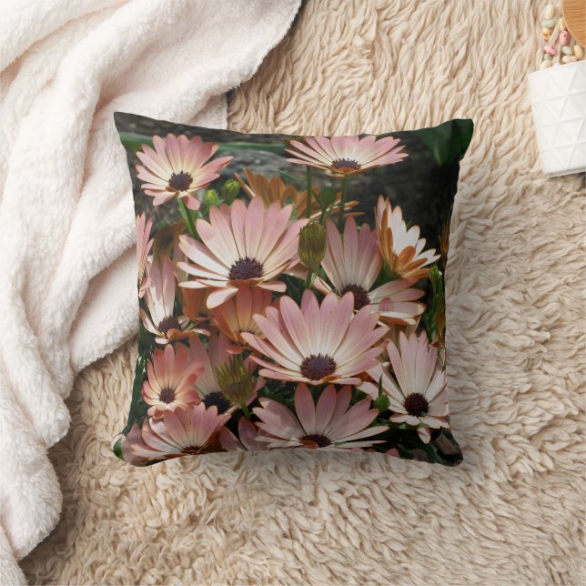 Pink African Daisy Flowers  Throw Pillow (Blanket)