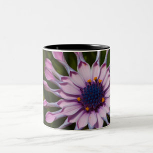 Pink African Daisy Two-Tone Coffee Mug