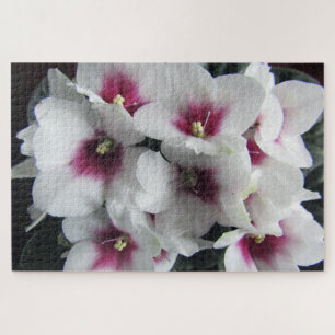 pink african violet flowers puzzle 
