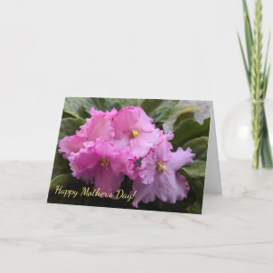 Pink African Violets Mother's Day Card