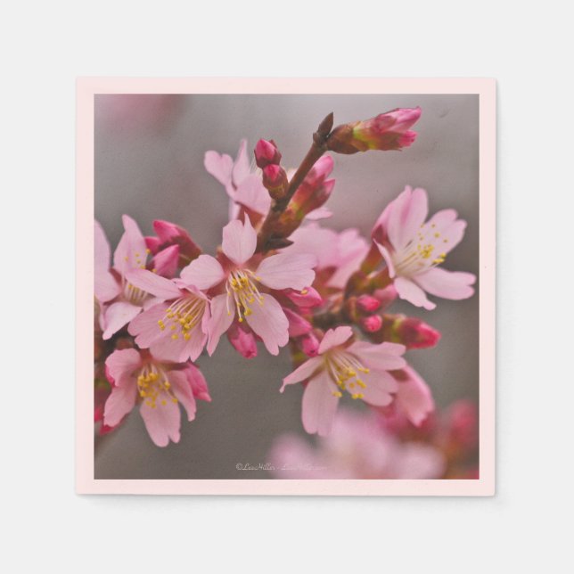 Pink Against A Grey Sky Cherry Blossoms Napkin (Front)