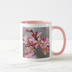 Pink Against A Grey Sky Japanese Cherry Blossoms C Mug