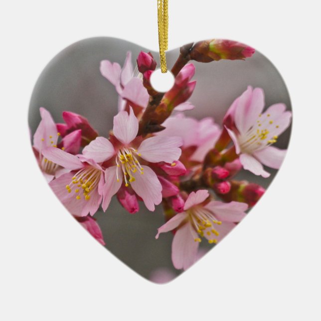 Pink Against A Grey Sky Japanese Cherry Blossoms Ceramic Ornament (Front)