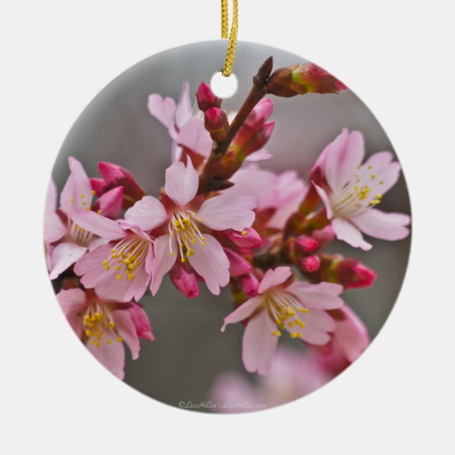 Pink Against A Grey Sky Japanese Cherry Blossoms Ceramic Ornament (Front)