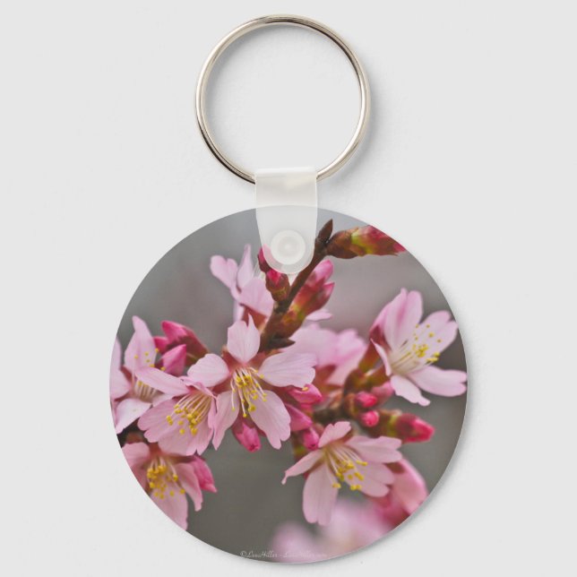 Pink Against A Grey Sky Japanese Cherry Blossoms Keychain (Front)