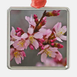 Pink Against A Grey Sky Japanese Cherry Blossoms Metal Ornament