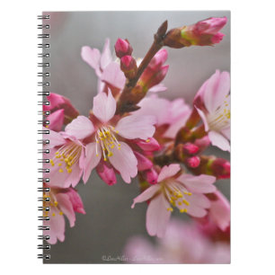 Pink Against A Grey Sky Japanese Cherry Blossoms Notebook