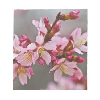 Pink Against A Grey Sky Japanese Cherry Blossoms Notepad