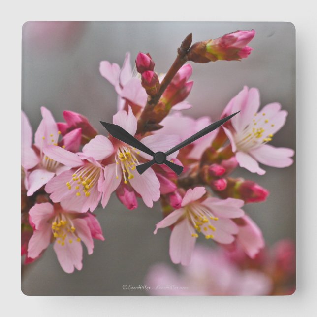 Pink Against A Grey Sky Japanese Cherry Blossoms Square Wall Clock (Front)