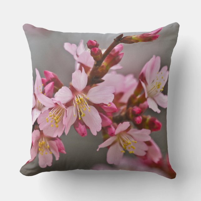 Pink Against A Grey Sky Japanese Cherry Blossoms Throw Pillow (Front)
