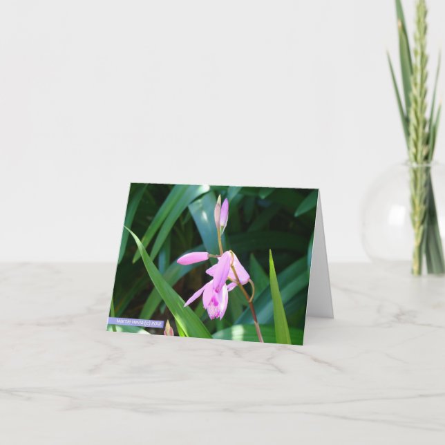 Pink Against Green Card (Front)