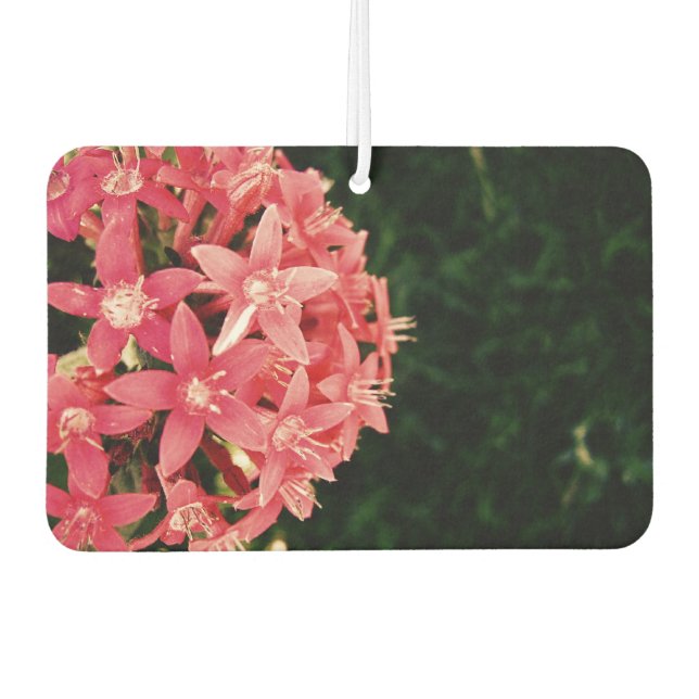 Pink Air Freshener (Front)