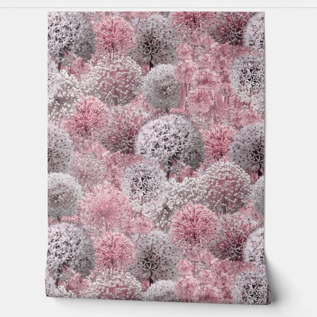 Pink Alliums Wallpaper (Unrolling)