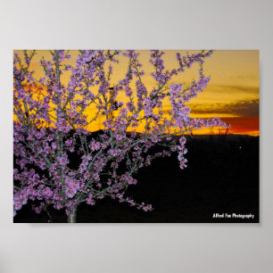 Pink Almond Blossom in Yellow Sky Poster