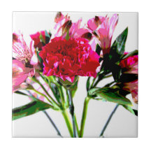 Pink Alstroemeria Watercolors