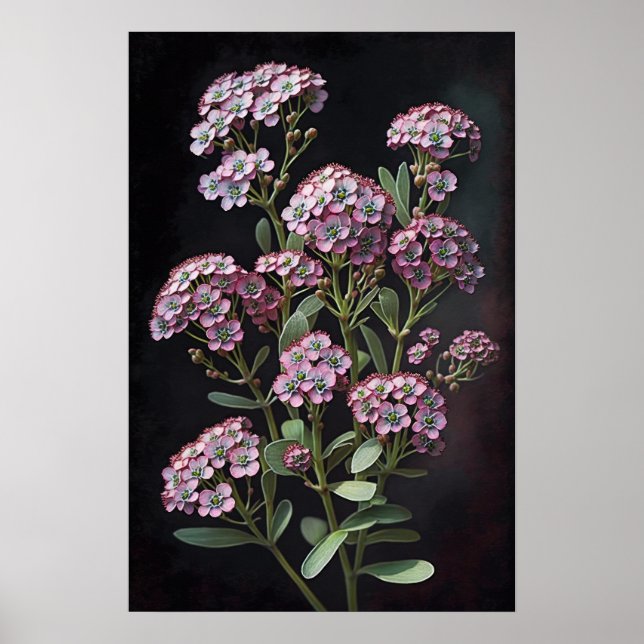 Pink Alyssum Flower Art Print Poster (Front)