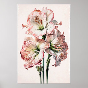 Pink Amaryllis Flower Art Imprimer Poster