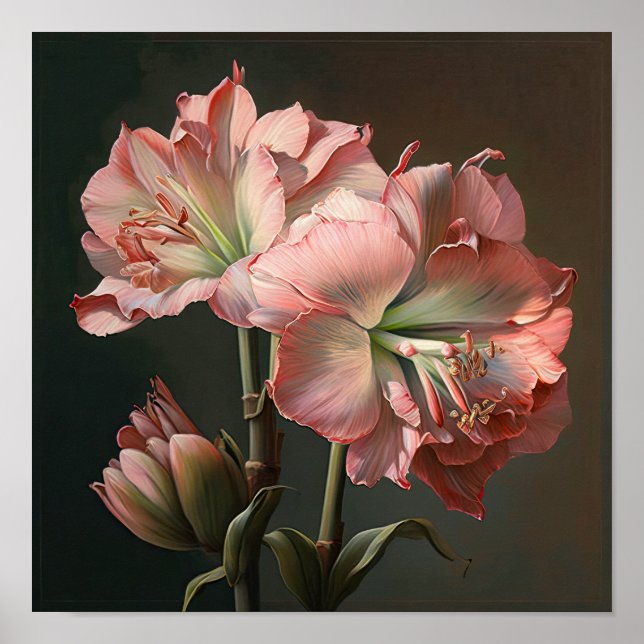 Pink Amaryllis Flower Art Print Poster (Front)
