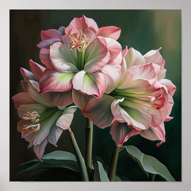Pink Amaryllis Flower Art Print Poster (Front)