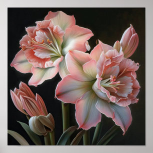 Pink Amaryllis Flower Art Print Poster
