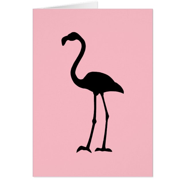 Pink and Black Flamingo (Front)