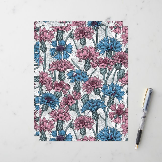 Pink and blue cornflowers, wild flowers on white (Front/Back In Situ)