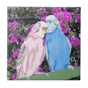 Pink and Blue Kissing Budgies and Bougainvillea  Tile