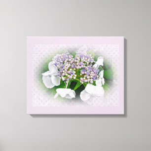 Pink and Blue Lace Cap Hydrangea Flowers Canvas Print