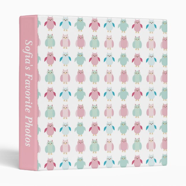 Pink and Blue Owls Binder (Front/Spine)