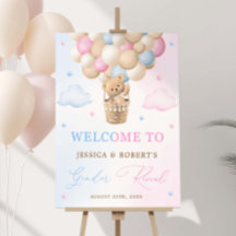 Pink and Blue Teddy Bear Genre Reveam Board