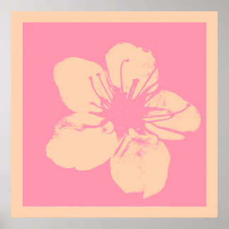 Pink and Cream Apple Blossom Poster