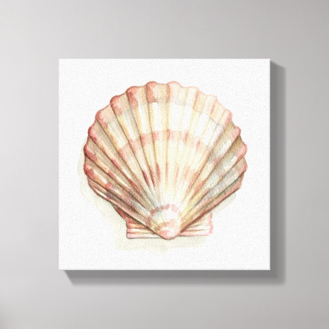 Pink and Cream Seashell Canvas Print (Front)
