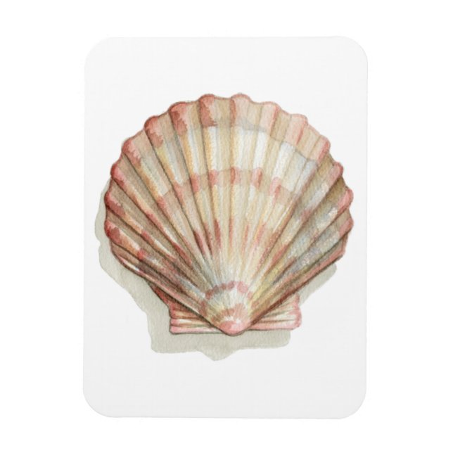 Pink and Cream Seashell Magnet (Vertical)