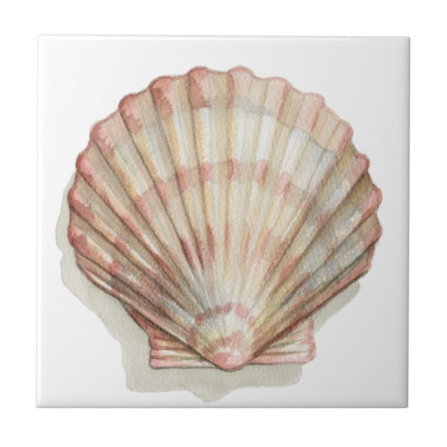 Pink and Cream Seashell Tile (Front)