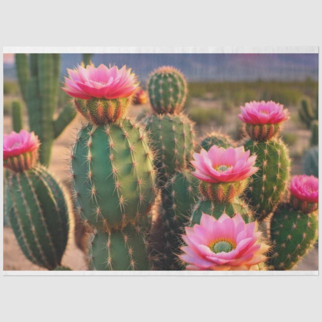 Pink and Green Cactus Decoupage Paper Arizona  (Front)