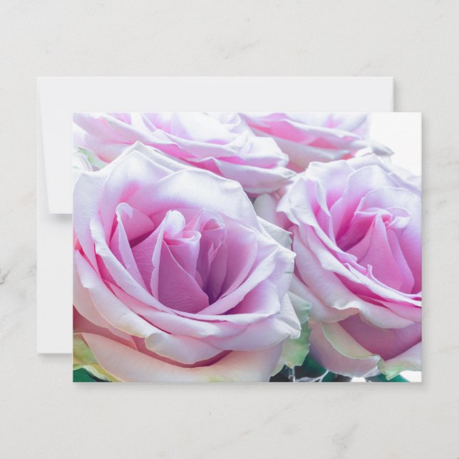 Pink and Green Roses Invitation (Front)