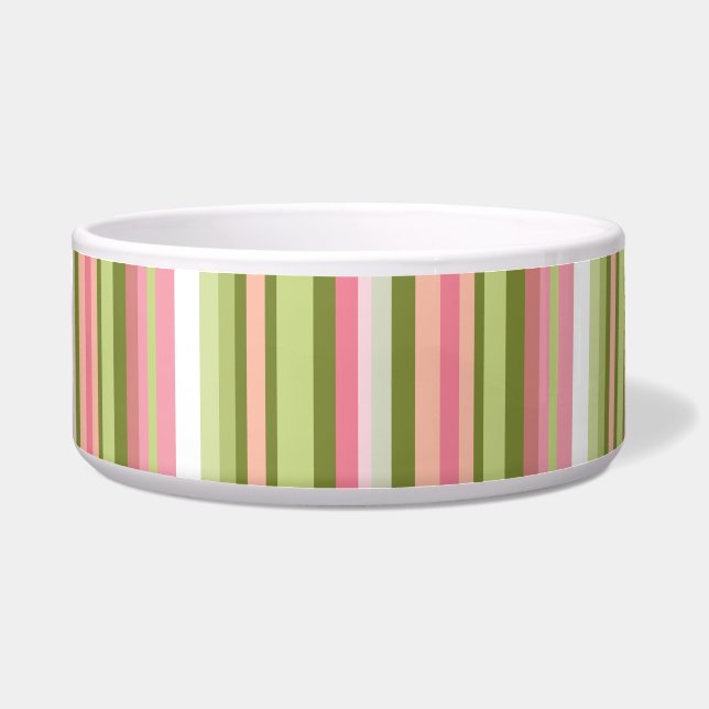 Pink and Green Stripe Pet Bowl in Spring Shades (Front)