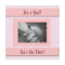 Pink and Grey Girl Baby Shower
