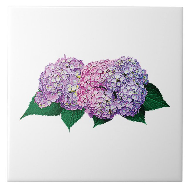 Pink and Lavender Hydrangea Tile (Front)