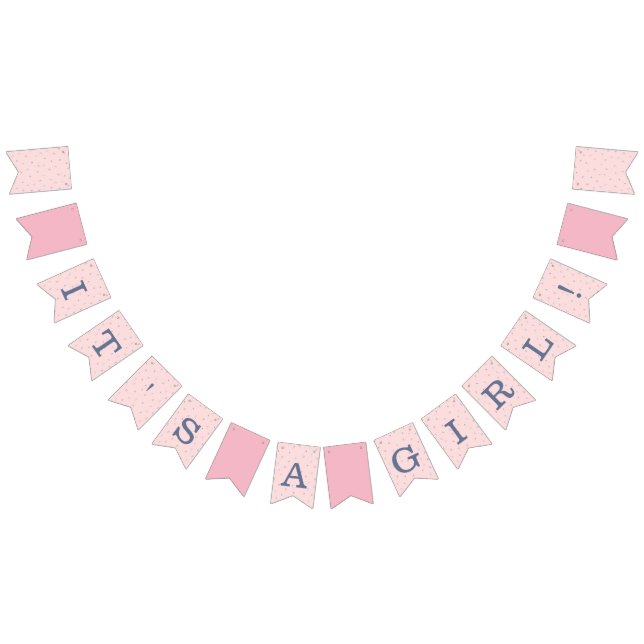 Pink and Navy Baby Shower Bunting Flags (All)