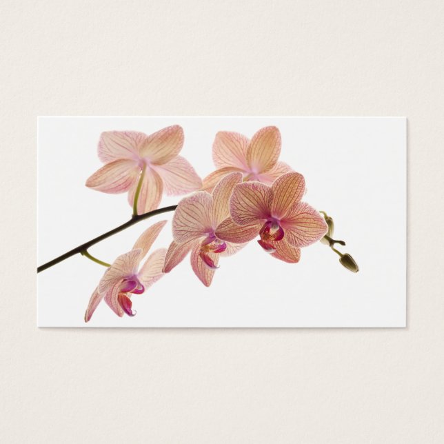 Pink and Peach Dendrobium Orchid - Customized (Front)