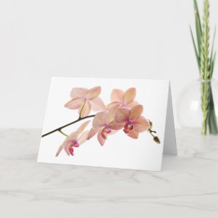 Pink and Peach Dendrobium Orchid - Customized Card