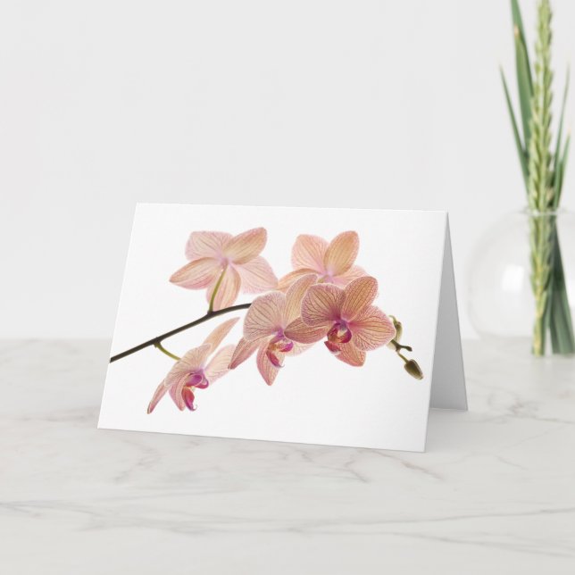 Pink and Peach Dendrobium Orchid - Customized Card (Front)