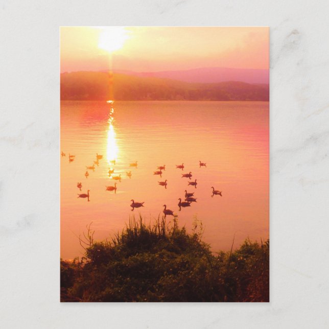 Pink and peach lake sunset postcard (Front)