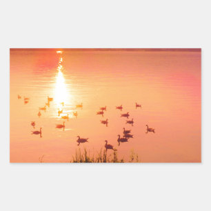 Pink and peach lake sunset sticker