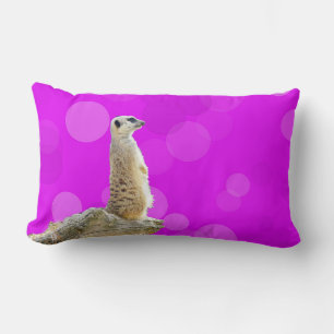 Pink And Purple Alert Meerkat Design, Lumbar Pillow